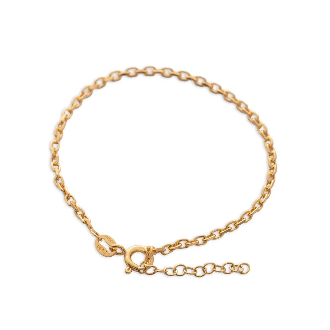 Esclava Aros Italy 2mm (15.5cm) + Ext