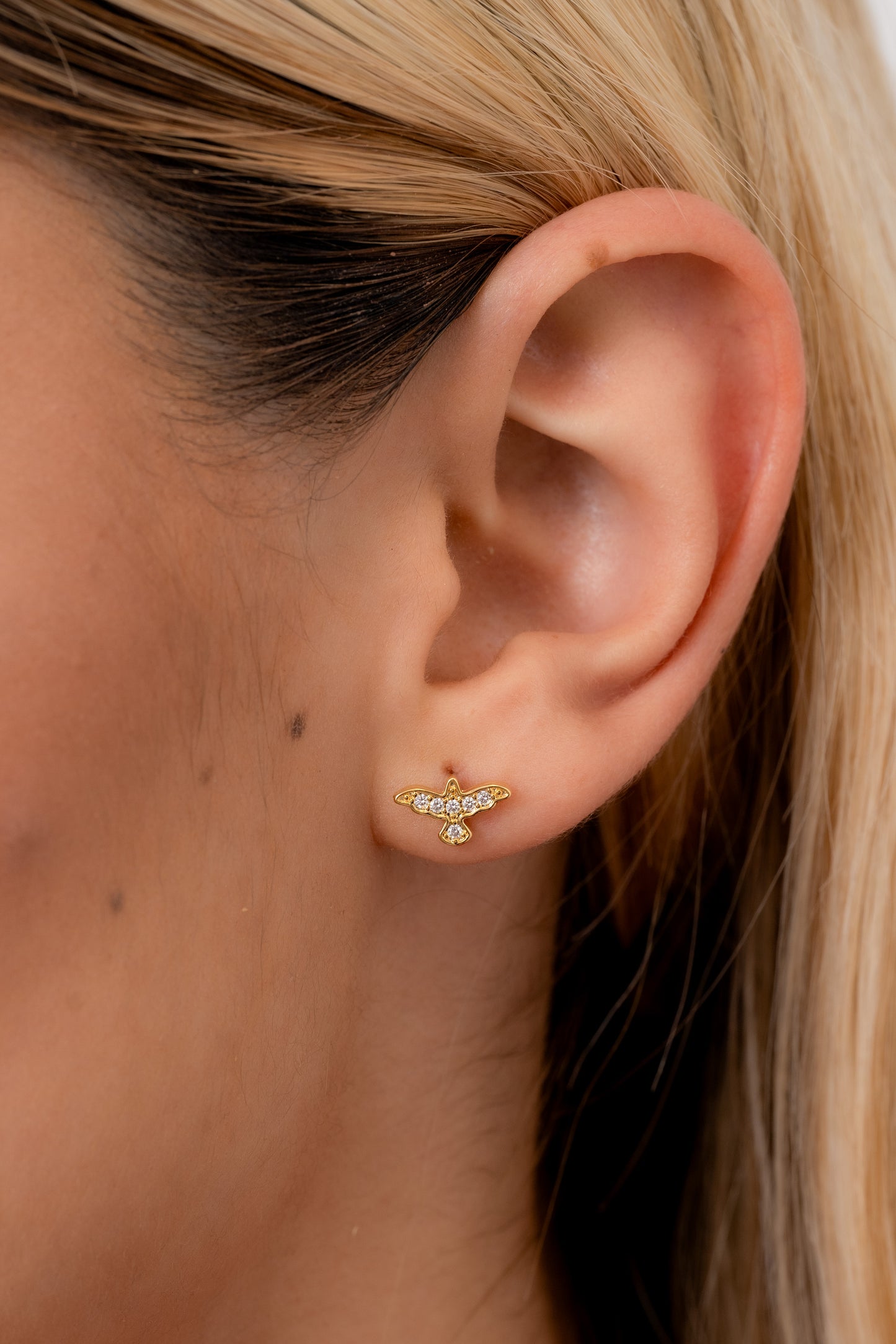 Topos Espíritu santo