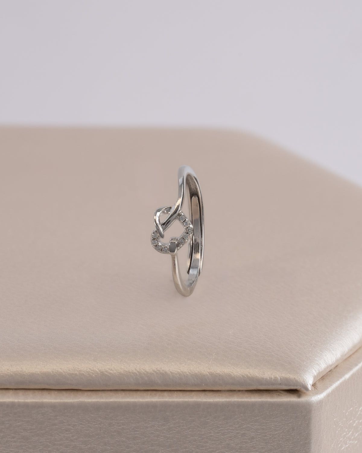 Anillo Eternal Loop ( Plata ley 925)