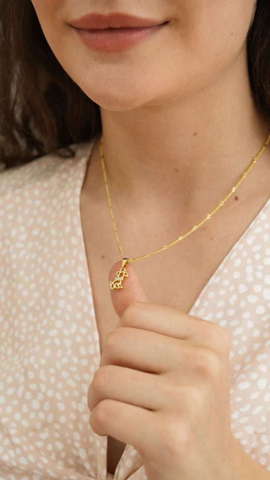 Cadena cubana con destellos punteras (45cm) + Dije dog