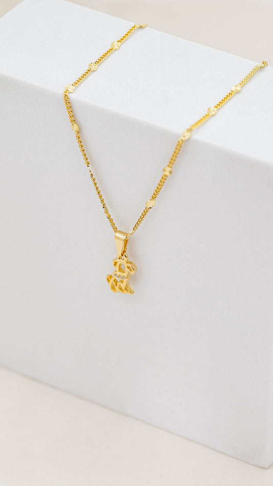 Cadena cubana con destellos punteras (45cm) + Dije dog